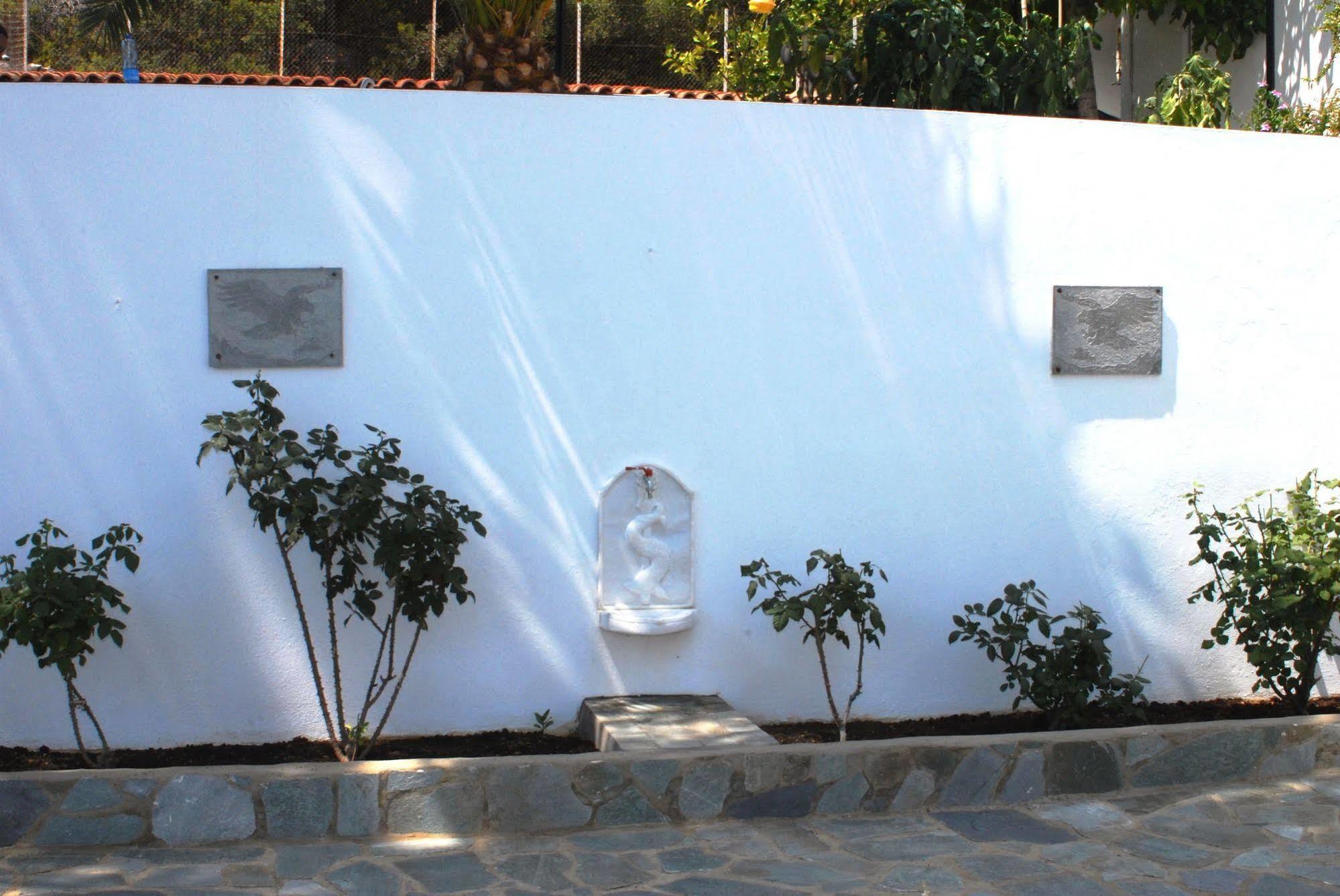 Travlos Studios Eleios-Pronnoi Exterior photo